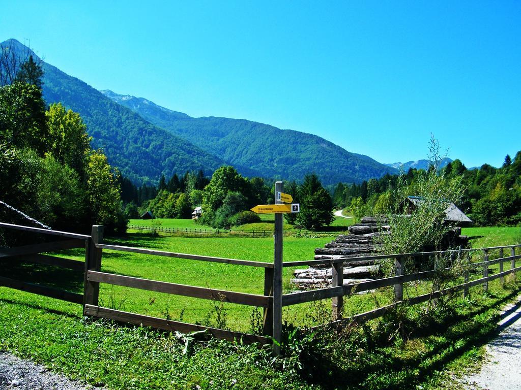Guest House Alenka Bohinj Luaran gambar